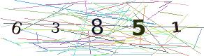 Access Code (numeric)